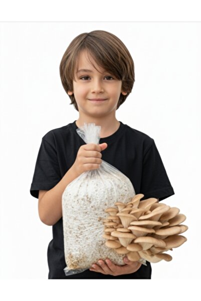 Vega Mantar Çocuklar İçin Organik Mantar Yetiştirme Hobi Kiti – Eğlenceli ve ...