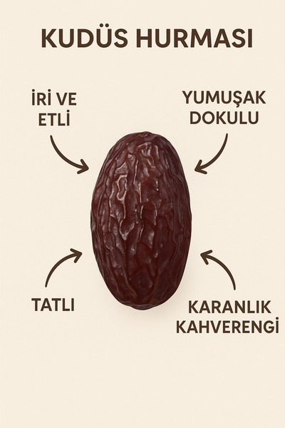 çamlar Kudüs Hurması Jumbo Boy 1000 Gr