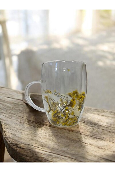 OEM Double Walled Glass Cup Flowers