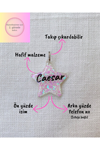 VenüsTakı Yıldız Şeklinde Kedi/ Köpek- İsimliği/ Künyesi