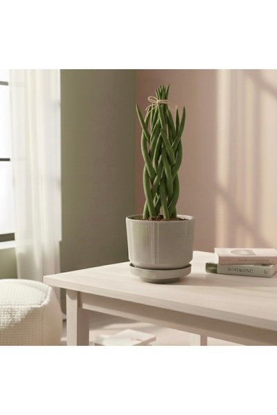 esm vase DEKORATİF TAŞ BEYAZ PLASTİK,TABAKLI EV OFİS SAKSISI 18X16