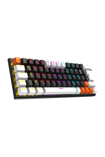 Everest PARLEY Siyah/Beyaz Rainbow Aydınlatmalı Türkçe Q Red Switch Mekanik G...