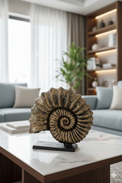 Dekoromi Dekoratif Kaideli Deniz Kabuğu Heykel Biblo Eskitmeli Lüks Hediyelik...