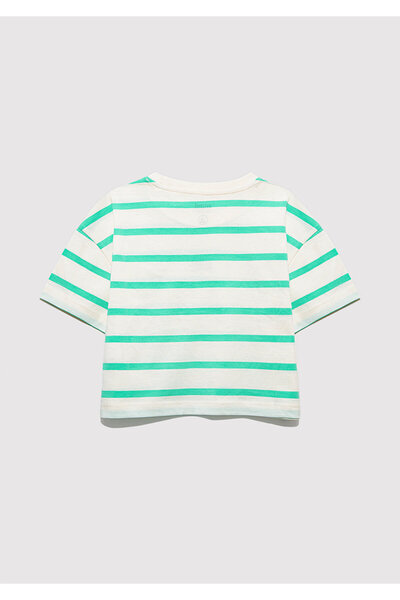 Mavi Πράσινο ριγέ μπλουζάκι Crop με λογότυπο με φαρδιά χαλαρή εφαρμογή 7610182 -88145