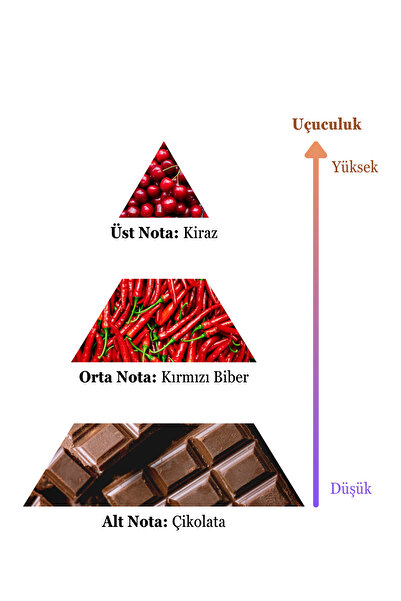 sohe Soshe Pruva Erkek Parfüm 100 ml Edc