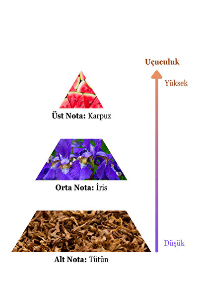 sohe Anteras Erkek Parfüm 100 ml Edc