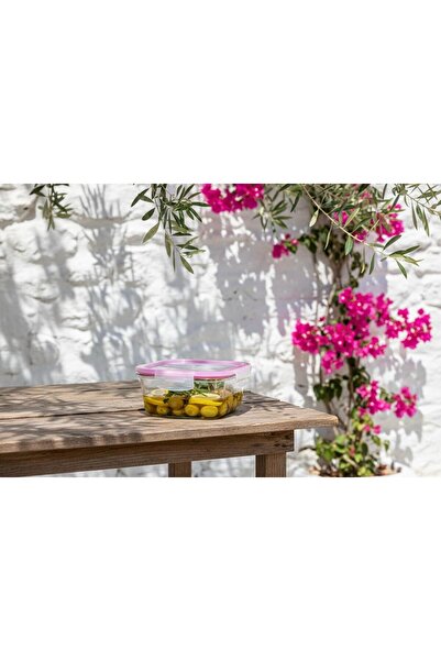 Borart Sade Saklama Kabı 520 cc - 46052PF