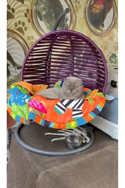 yvzhome kEdi hamagı