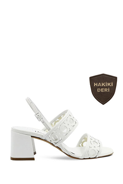 ROBERTO FESTA (Vario) 703 NAPPA ALB