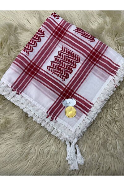 LA SEFA Κεφιά με θέμα τη Παλαιστίνη