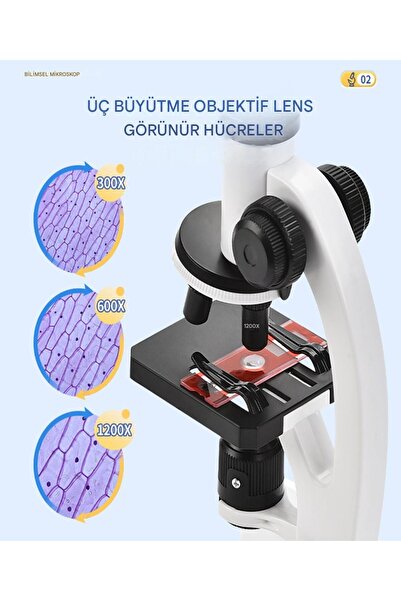 Havana “Kalite Ve Hesaplı” 2’li Set Çocuk Eğitici Biyolojik Mikroskop Yüksek Kaliteli 100x 400x 1200x Eğitim Amaçlı Mikroskop
