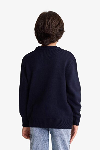 DeFacto Чоловічий дитячий велосипедний светр з принтом ведмедика G3077A825WN