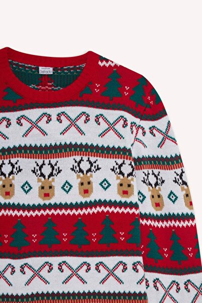 DeFacto Crew Neck Christmas Themed Knitwear Sweater G1118Ax25Wn