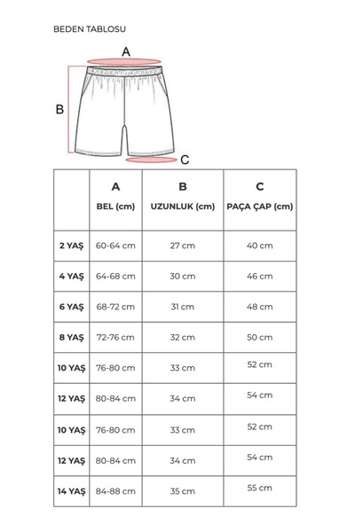 AYYILDIZ 104 Plum Boys' Sea Shorts