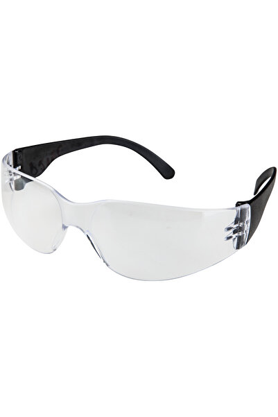 EvoTools Professional Safety glasses 2004