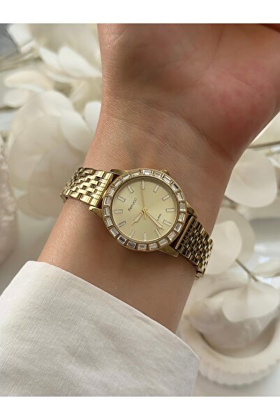 Forsining Forsining Three Chain Watch (Big Case)