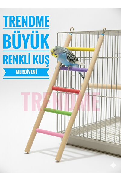 UniqBirdToys Trendme Büyük Ahşap Kuş Merdiveni 30 Cm (Renkli)