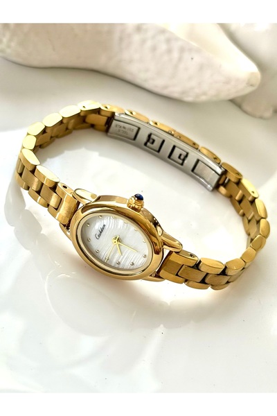 Forsining -Ceshdun-(Gold Color) Minimal Oval Case Women Wrist Watch