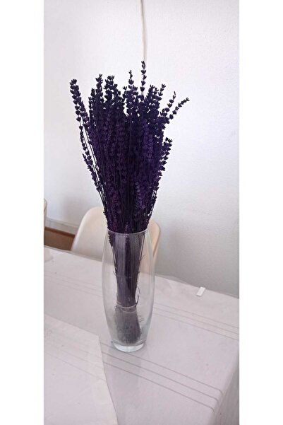 Birlik Lavanta Çiçeği Mor Şoklanmış