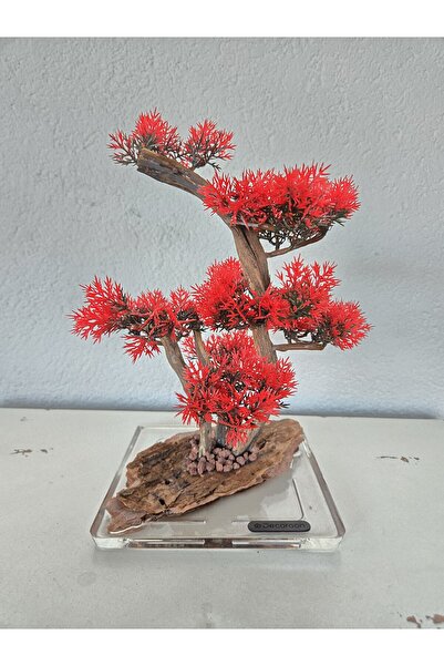 Decoroon Dekoratif Kare Epoksi Tabanlı Bonsai Ağaç Modeli – El Yapımı Masa Üs...