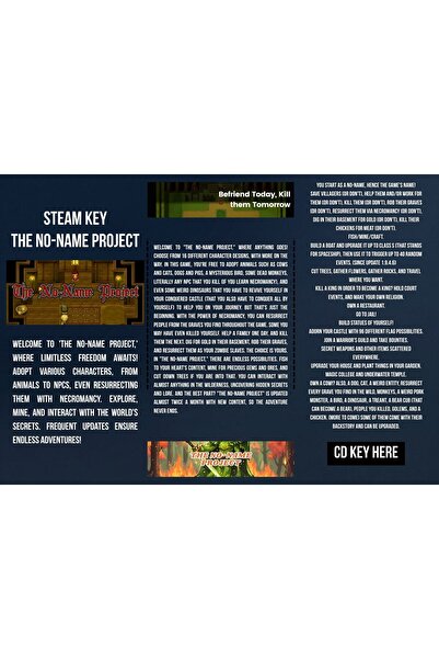 VreauPoster The No-Name Project Game on Steam CDKey in Flyer A4 Carton