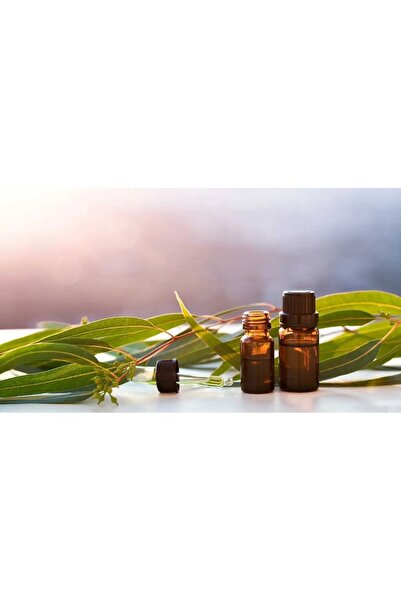 SOLARIS Ulei volatil de eucalipt 10ml