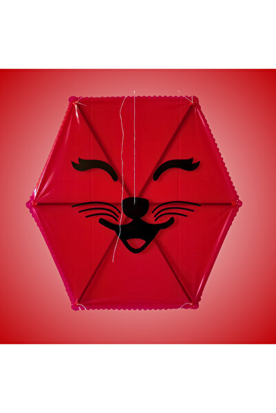 GÜLEN UÇURTMA Naylon Altıgen Uçurtma / Kedicik