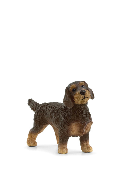 SCHLEICH Tel Tüylü Dachshund Hayvan Figür Oyuncak 13972