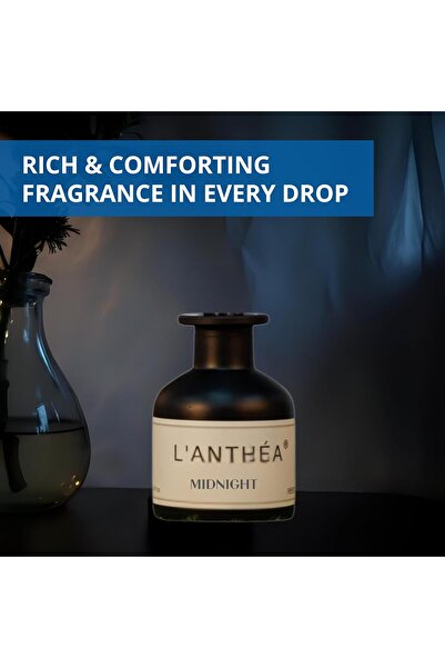 Home Dwell L'Anthea Midnight 100ml Reed Diffuser - Rich and Inviting Home Scent