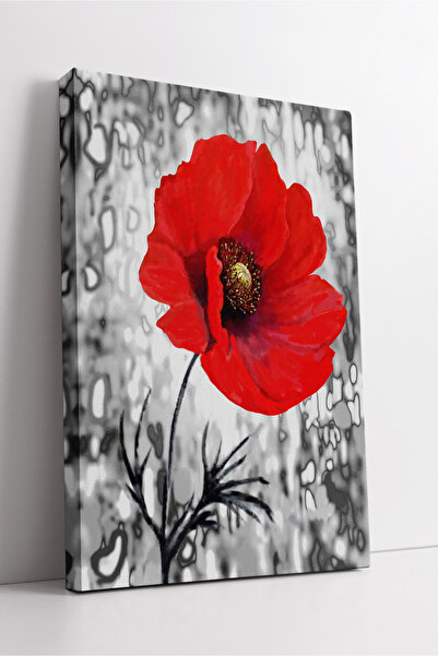 KOSS Dijital Pictură decorativă modernă pe pânză, cu tematică de flori de măc...