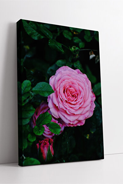 KOSS Dijital Ροζ τριαντάφυλλο Φυσικό ντεκόρ τοίχου με θέμα τα λουλούδια Μοντέ...