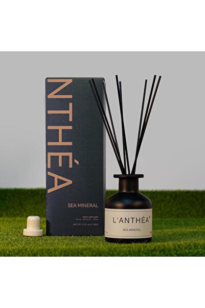 Home Dwell L'Anthea Sea Mineral - 100ml