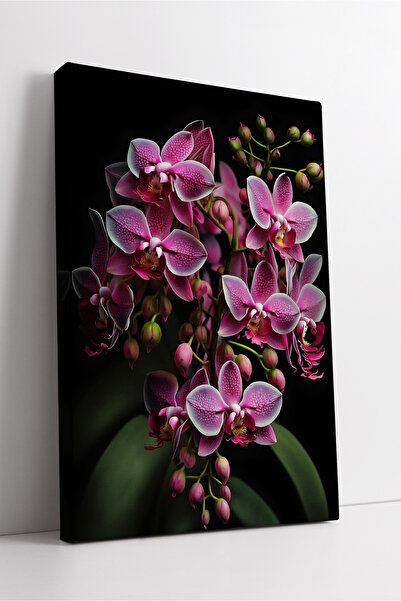 KOSS Dijital Design de flori de orhidee roz pe fundal negru, pictură decorati...