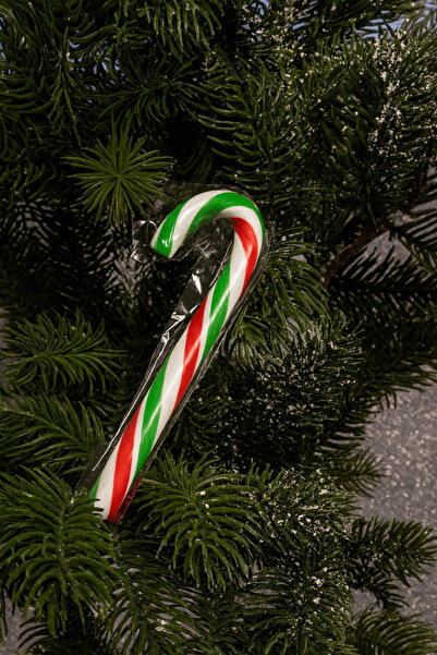 CandyZoo حلوى عيد الميلاد على شكل عصا 30 جرام. 1 قطعة