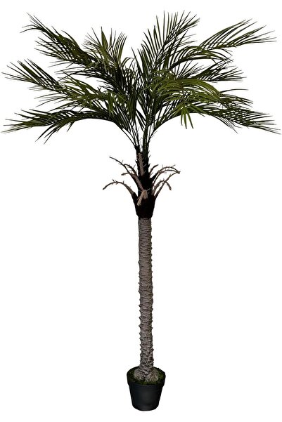 MirageBotanics Artificial Palm Tree Faux Plant (168cm)