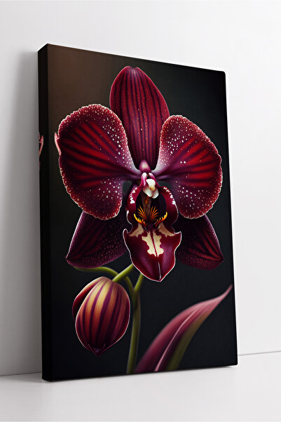 KOSS Dijital Pictură decorativă pe pânză cu flori de orhidee roșu închis, care oferă o atmosferă elegantă și modernă