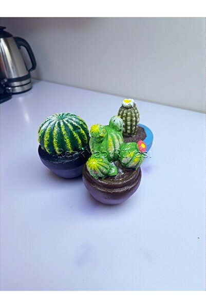 RENK YAPI RÜYASI 3LÜKAKTÜS BİBLO DEKORATİF MODERN KAKTÜS ÇİÇEĞİ biblo