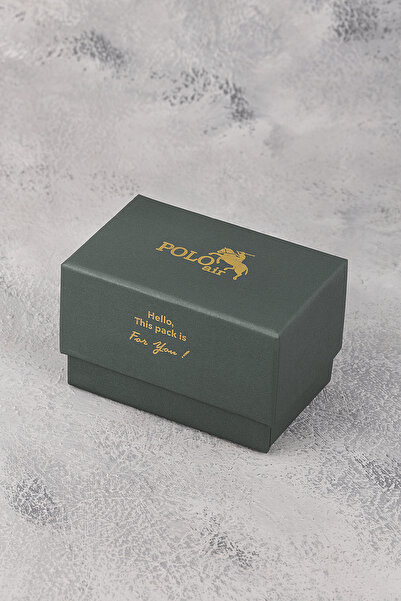 Polo Air Mercek Calendar Rotating Case Men's Wristwatch Silver Black Green Color Pl-7029E3X