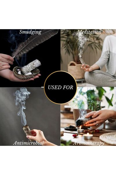 Shamanics Californian white sage, 15 cm, purification and energy balance