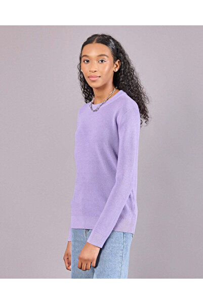 REDTAG Senior Girls Lilac Round Neck Sweater