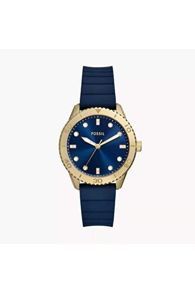 Fossil Dayle Three-Hand Navy Silicone Watch