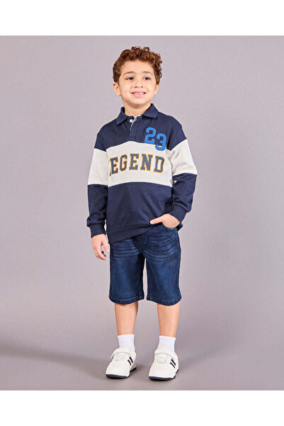 REDTAG Boys Navy Cut & Sew Long Sleeve Polo Shirt