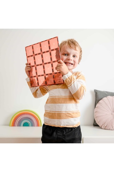 Connetix Set of 2 basic pastel colors - 2 large magnetic boards