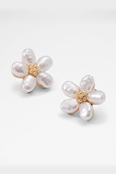 Aldo ICELYNN - Gümüş Rengi Kadın Küpe