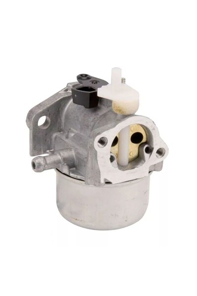 Garden Parts Carburator Briggs&Stratton 799869