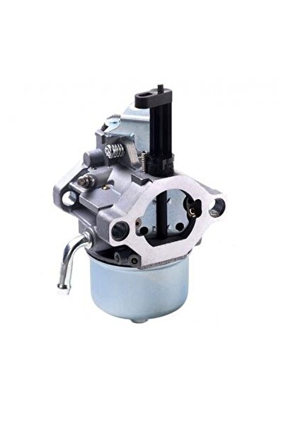 Garden Parts Carburator Briggs&Stratton 715783