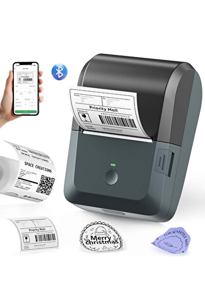 Naipo Bluetooth Thermal Label Maker - Wide Waterproof Label Printer (Blue)