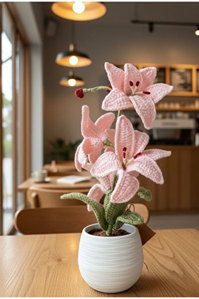 HENERA El Örgüsü Saksıda Zambak / Sevgililer Günü / Hediyelik /Doğum Hediyesi /Öğretmenler Günü/Çiçek