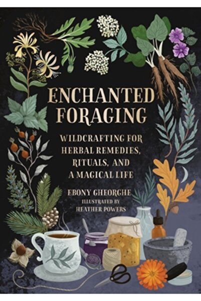 Running Pr Book Publ Enchanted Foraging: Wildcrafting for Herbal Remedies, Ri...