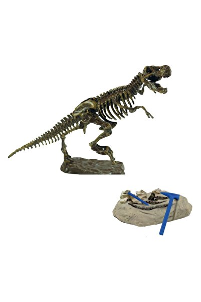 OEM Set Excavare Fosile de Dinozauri